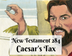 NT 284 - Caesar's Tax
